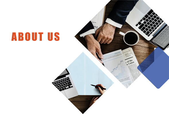 Standard Holdings Ltd.